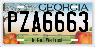 GA license plate PZA6663