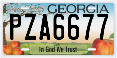 GA license plate PZA6677