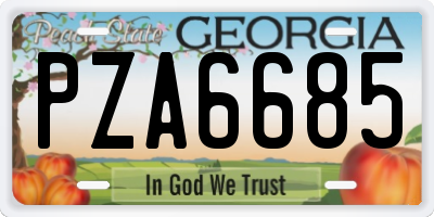 GA license plate PZA6685