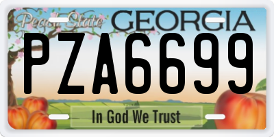 GA license plate PZA6699