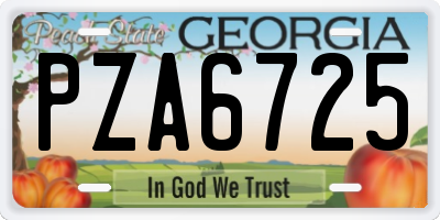 GA license plate PZA6725