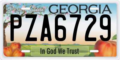 GA license plate PZA6729