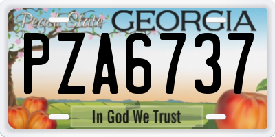 GA license plate PZA6737