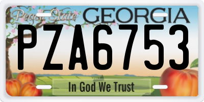 GA license plate PZA6753
