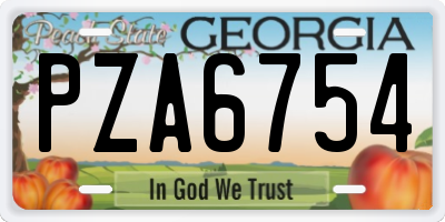 GA license plate PZA6754