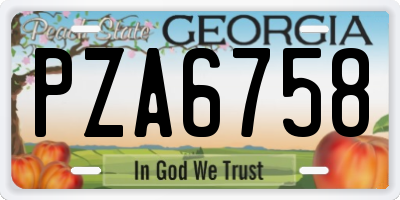GA license plate PZA6758