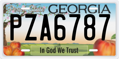 GA license plate PZA6787
