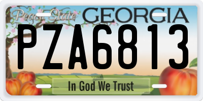 GA license plate PZA6813