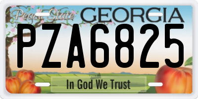GA license plate PZA6825