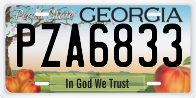 GA license plate PZA6833