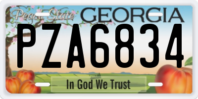 GA license plate PZA6834