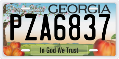 GA license plate PZA6837