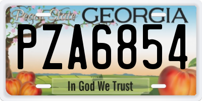 GA license plate PZA6854