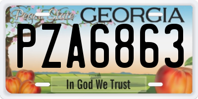 GA license plate PZA6863