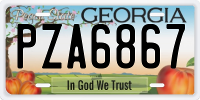 GA license plate PZA6867