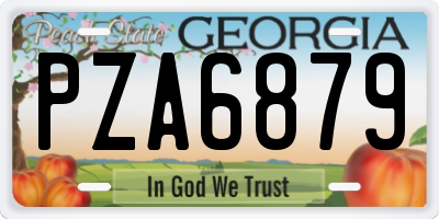 GA license plate PZA6879
