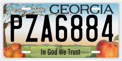 GA license plate PZA6884