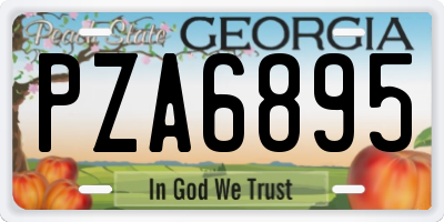 GA license plate PZA6895