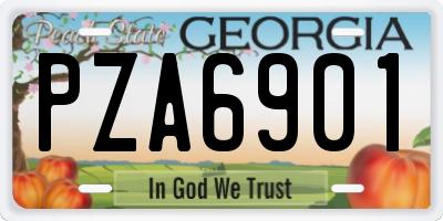 GA license plate PZA6901
