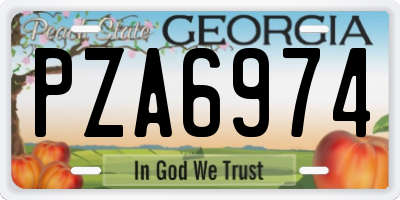 GA license plate PZA6974