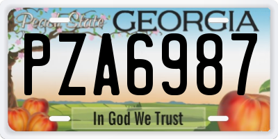 GA license plate PZA6987