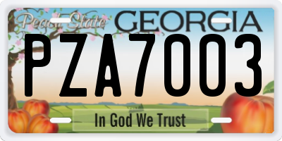GA license plate PZA7003