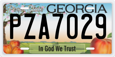 GA license plate PZA7029
