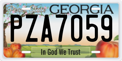 GA license plate PZA7059