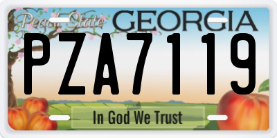 GA license plate PZA7119