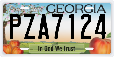 GA license plate PZA7124