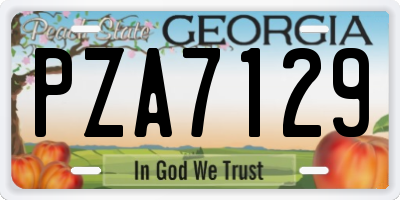GA license plate PZA7129