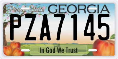 GA license plate PZA7145