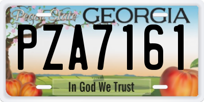 GA license plate PZA7161