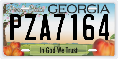 GA license plate PZA7164