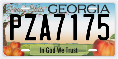 GA license plate PZA7175