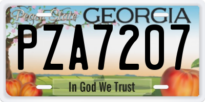 GA license plate PZA7207