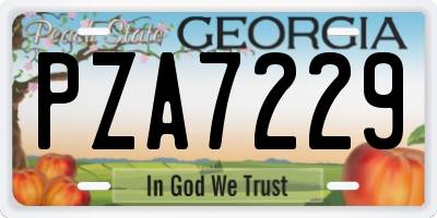 GA license plate PZA7229