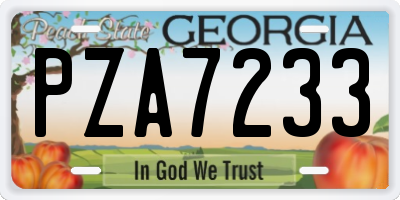 GA license plate PZA7233