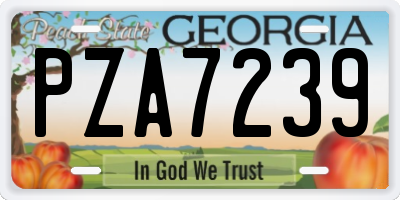 GA license plate PZA7239