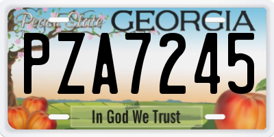 GA license plate PZA7245