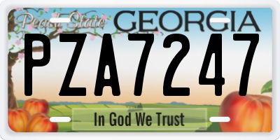 GA license plate PZA7247