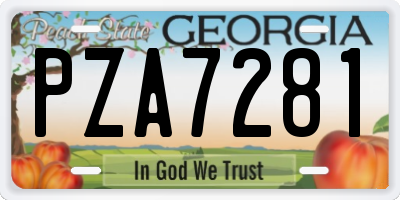 GA license plate PZA7281