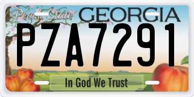 GA license plate PZA7291