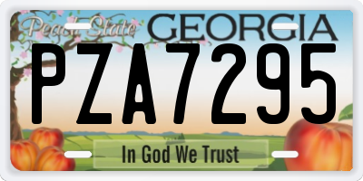 GA license plate PZA7295