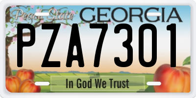 GA license plate PZA7301