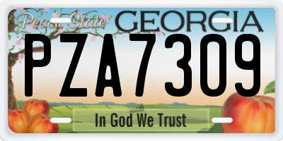 GA license plate PZA7309