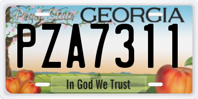 GA license plate PZA7311