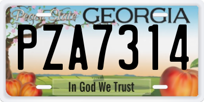 GA license plate PZA7314