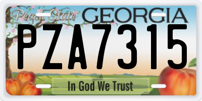 GA license plate PZA7315