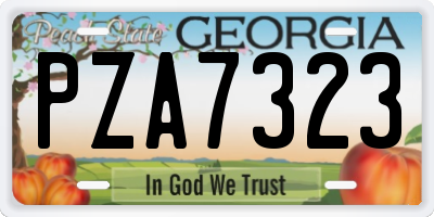GA license plate PZA7323